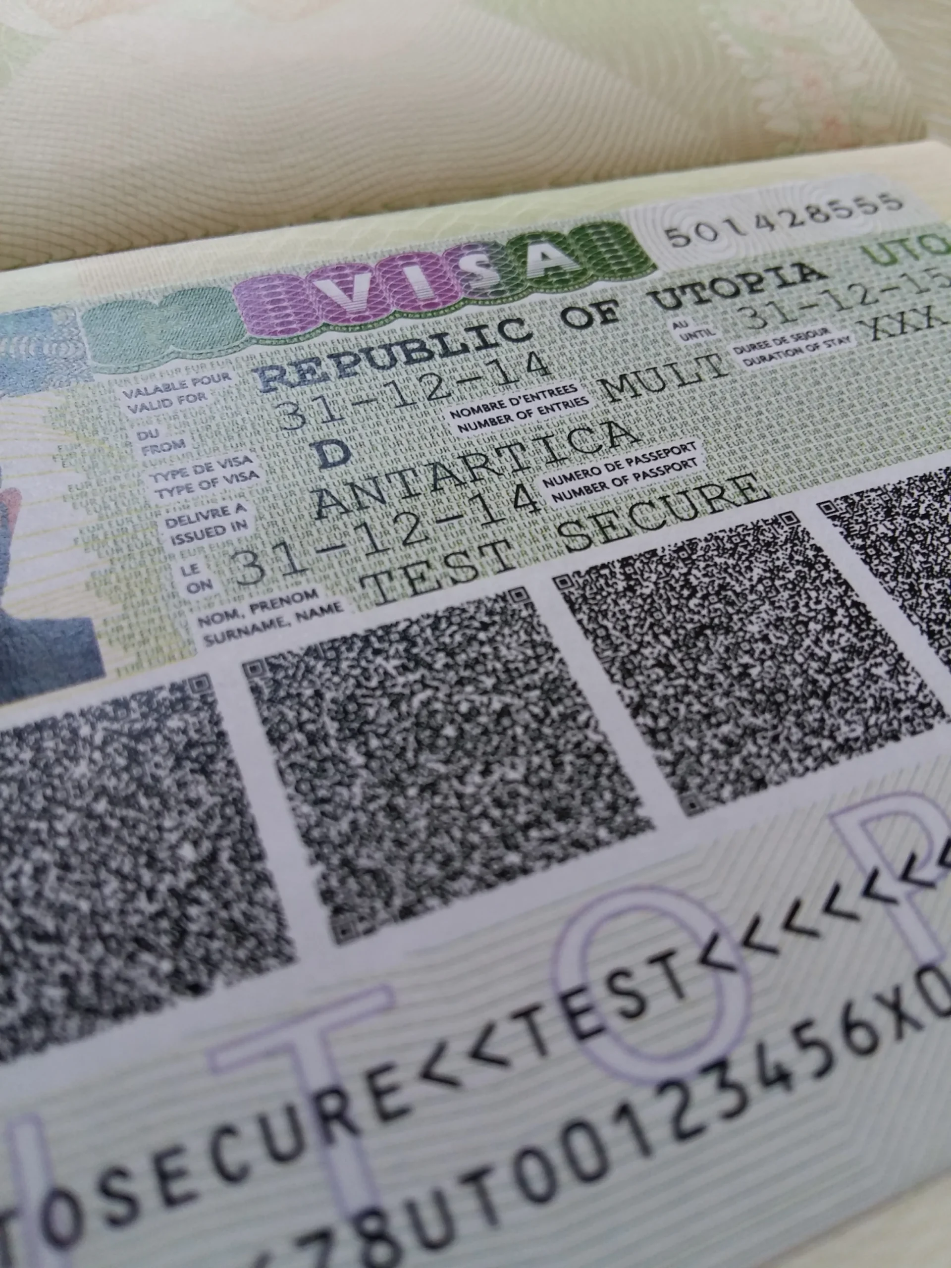 Visa Issuance System IN Groupe